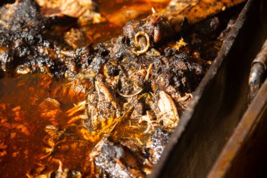 Recado Negro is a dish with meat and a mixture of dried chilies and other spices typical of the Yucatan Peninsula in Mexico.