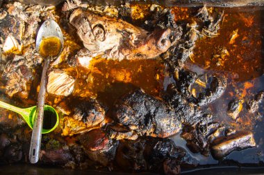 Recado Negro is a dish with meat and a mixture of dried chilies and other spices typical of the Yucatan Peninsula in Mexico.