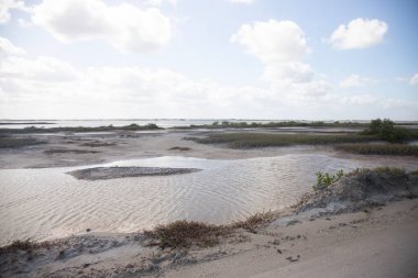 Nature reserve and salt mines in Ro Lagartos on the Yucatan Peninsula in Mexico.