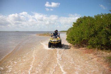 El Cuyo, Meksika; 1 Kasım 2025: Meksika 'nın Yucatan Yarımadası' ndaki Ro Lagartos 'ta doğa turları..