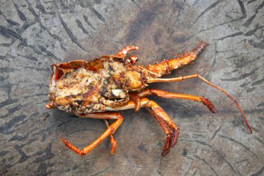 Fried lobster head at a restaurant in El Cuyo, a fishing village in the Yucatan region of Mexico.