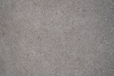 Dokulu alçı duvar, nötr tonlar, yumuşak doğal ışık, kapalı alanda bitki ve çağdaş soyut sanat