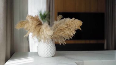 Yumuşak doğal ışık pampaları aydınlatır. Beyaz seramik bir vazoda çimen buketi. Modern iç mekanda mermer tezgahta sıcak ahşap ve nötr perdeler ile seramik vazoda.