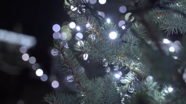 Spruce dalları ve beyaz Noel ışıkları olan Noel ağacına yakın çekim. Kış tatili sahnesinde gece gösterişli Bokeh dekorasyonları.