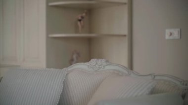 Soft Sofa ve Dekoratif Rafları, Konforlu Konforlu Ev Atmosferi, Minimalist Pastel Tonları ve Sakin Ev Tasarımı ile Zarif Klasik Oturma Odası