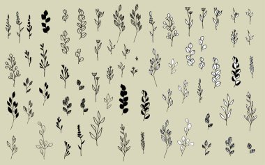 El yapımı bitki parçaları seti. Sağ illüstrasyonun beyaz bir arka planı varken, sol resim çok yönlü kullanım için saydamdır.