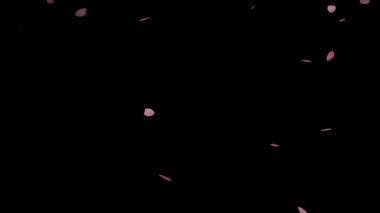 Sol üstten kiraz çiçekleri dökülüyor. Gece görünümü.