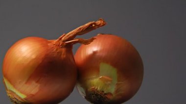 İki soğan dönen Çift