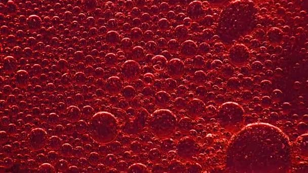 Red Bubbles Blood Liquid — Stock Video