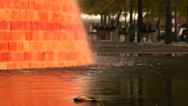 Wasserfontäne und Teich - Zeitlupe — Stockvideo