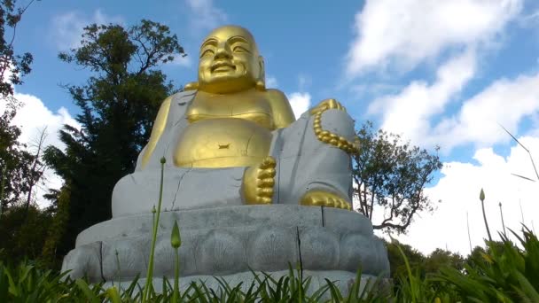 Buddha-Meditation und Kontemplation — Stockvideo