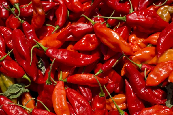 Red hot peppers