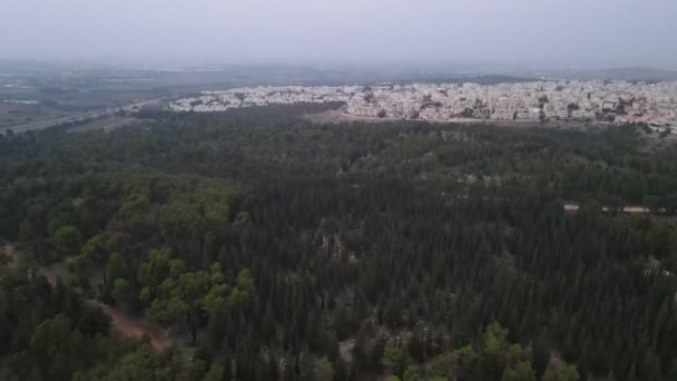Вид с воздуха на лес Кешет Нижняя Галилея, Израиль Лес Кешета весной, Снимок дрона, Нижняя Галилея, Израиль — стоковое видео