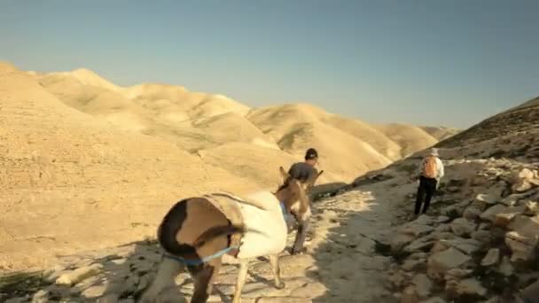 Nomadische herder met ezel en vrouwen toerist in de hooglanden van Israël, in Raion Samaria — Stockvideo