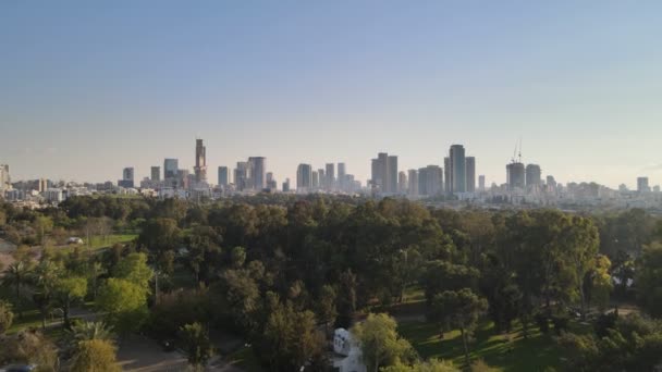 Contraste ecológico: paisaje urbano con rascacielos contra un parque verde con árboles verdes. vista aérea 4K — Vídeos de Stock