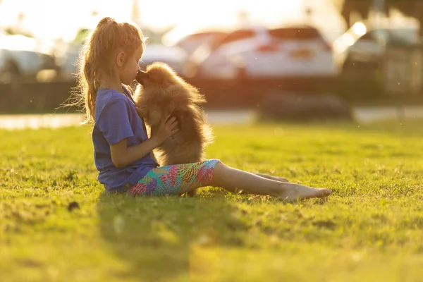 Criança brincando no parque com cão pomerano — Fotografia de Stock
