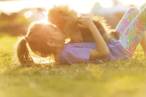 Померанский шпиц целует своего хозяина, лежащего на траве — стоковое фото