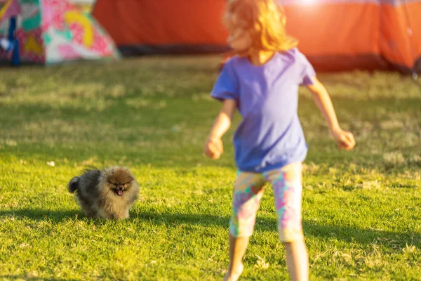 Los niños juegan con el perrito lindo. Niños y perros bebé jugando en el soleado jardín de verano —  Fotos de Stock