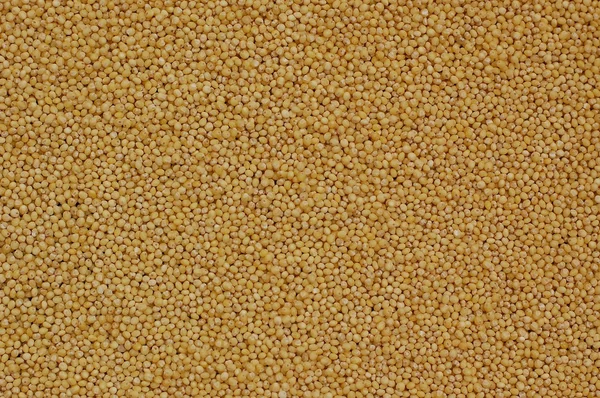 Background millet brown yellow — Stock Photo, Image