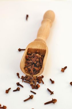 Beyaz arka plan üzerinde Kepçe karanfil