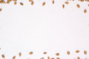 Ayçekirdeği tarafta çerçevesinden