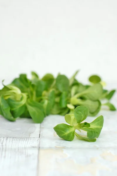 Grüne Lämmer Salat auf dem hölzernen Hintergrund — Stockfoto