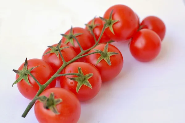 Beyaz arka planda domatesler — Stok fotoğraf