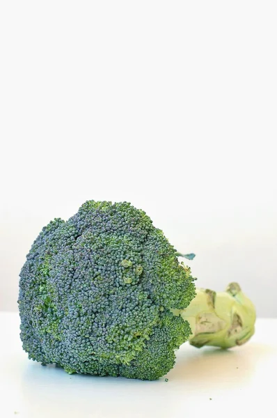 Broccoli verdi sullo sfondo bianco — Foto Stock