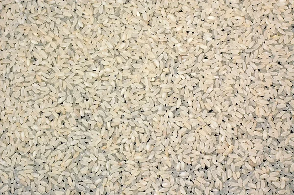 Fondo risotto riso — Foto Stock