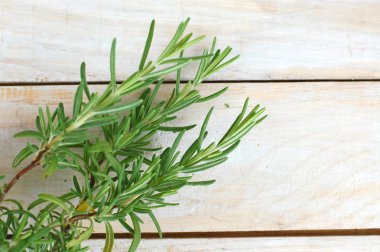 Beyaz ahşap zemin üzerinde taze yeşil ot biberiye