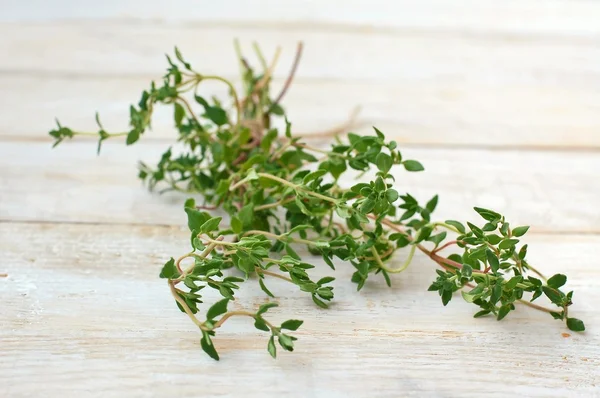 Frischer grüner Kräuterthymian auf weißem Holzhintergrund — Stockfoto