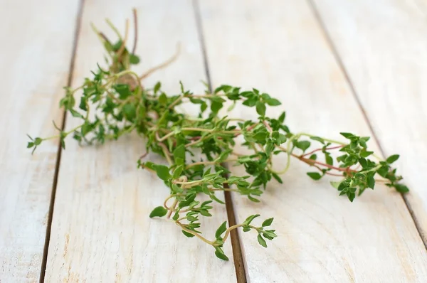 Fresh green herb thyme on white wooden background