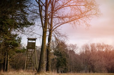 Houting minber görüntüsünü.