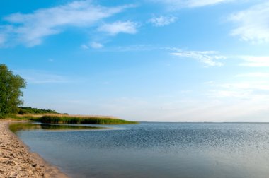 Çöl Yalı, orman sahilde