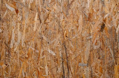 Ahşap doku görüntü