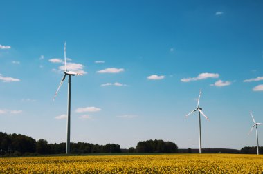 Sarı tecavüz alan w enerji üreten yel değirmenleri peyzaj