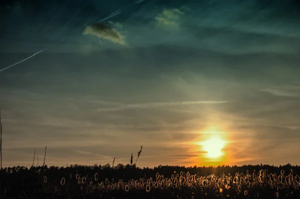 La imagen del atardecer oscuro — Foto de Stock