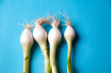 taze genç soğan ile mavi bir arka plan yukarıdan kaynaklanıyor