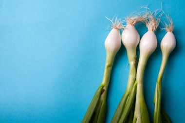taze genç soğan ile mavi bir arka plan yukarıdan kaynaklanıyor