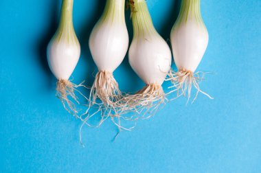 taze genç soğan ile mavi bir arka plan yukarıdan kaynaklanıyor