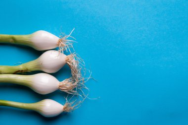 Taze genç soğan wi yukarıdaki mavi bir arka plan üzerinde saplı