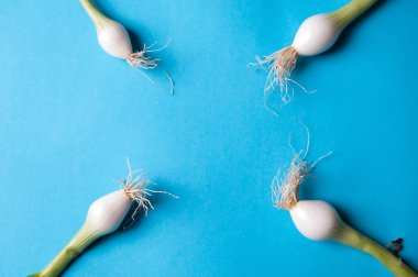 taze genç soğan ile mavi bir arka plan yukarıdan kaynaklanıyor