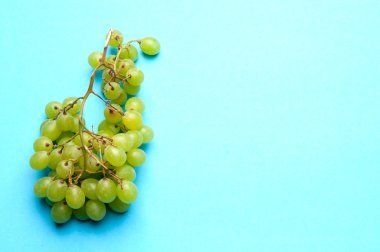 Mavi bir arka plan üzerinde Yeşil üzüm