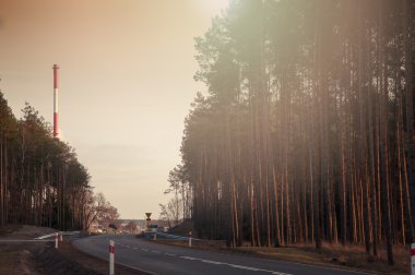 Kırmızı baca ve orman.