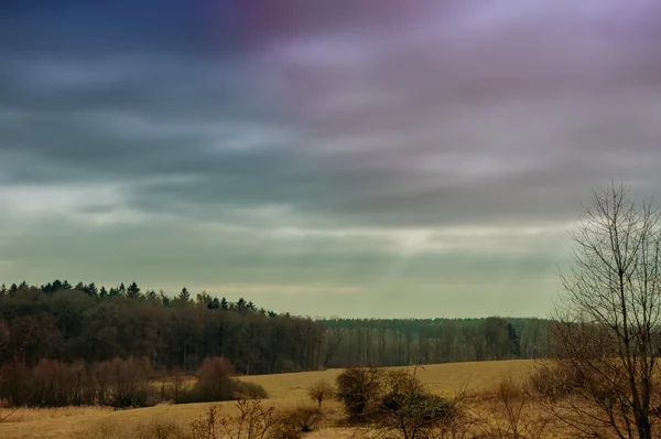 Bild vom Vorfrühling — Stockfoto