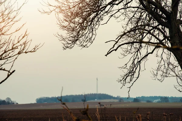 Bild vom Vorfrühling — Stockfoto