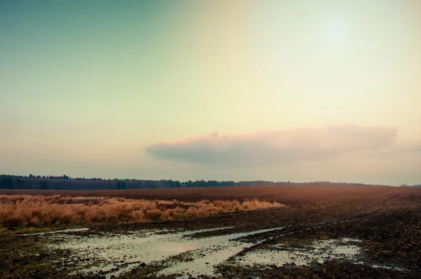 Inverno ou início da primavera paisagem de campo com couro levantado sob — Fotografia de Stock