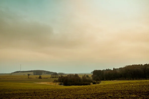 Bild vom Vorfrühling — Stockfoto