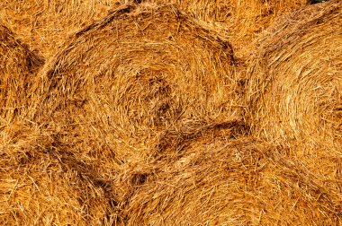 Balya saman arka plan