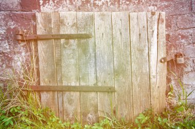 Kiler arka plan için ahşap kapı